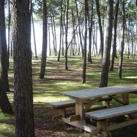 度假居 House Agreable Maisonnette Studio Avec Jardin Pour Quatre Personnes Maximum A Sur Mer Sud Vendee Micro Climat. 1 *