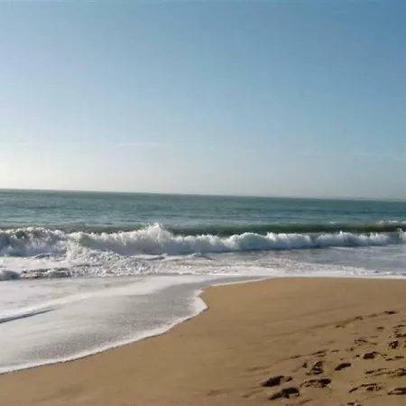 House Agreable Maisonnette Studio Avec Jardin Pour Quatre Personnes Maximum A Sur Mer Sud Vendee Micro Climat. 1 度假居 *